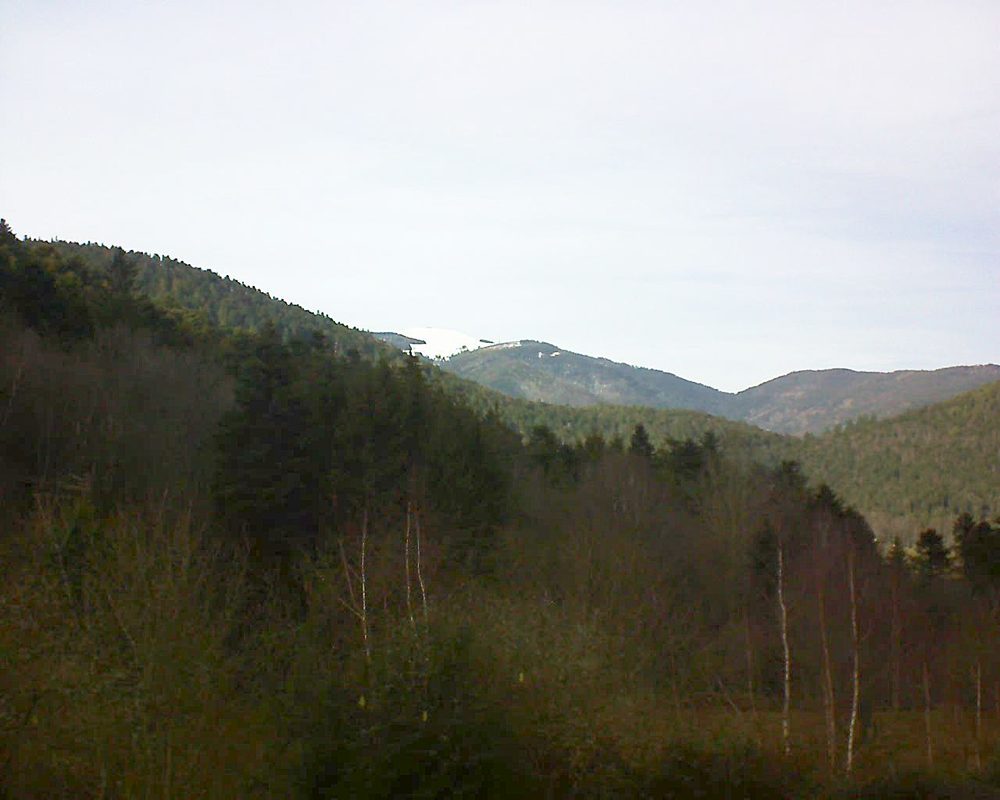 Le petit ballon vu depuis le Domaine Langmatt à Murbach le 16.01.2019 à 14:45 Le petit ballon (Alsace, Vosges) le 16.01.2019 à 14:45