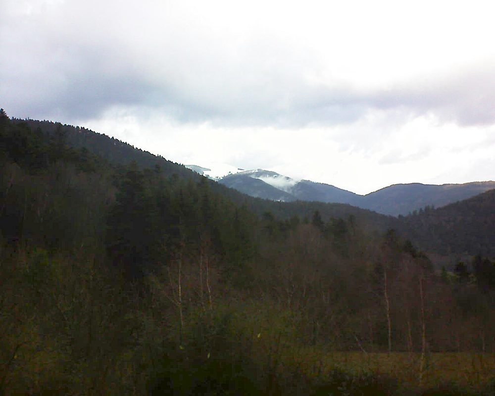 Le petit ballon vu depuis le Domaine Langmatt à Murbach le 17.01.2019 à 11:30 Le petit ballon (Alsace, Vosges) le 17.01.2019 à 11:30