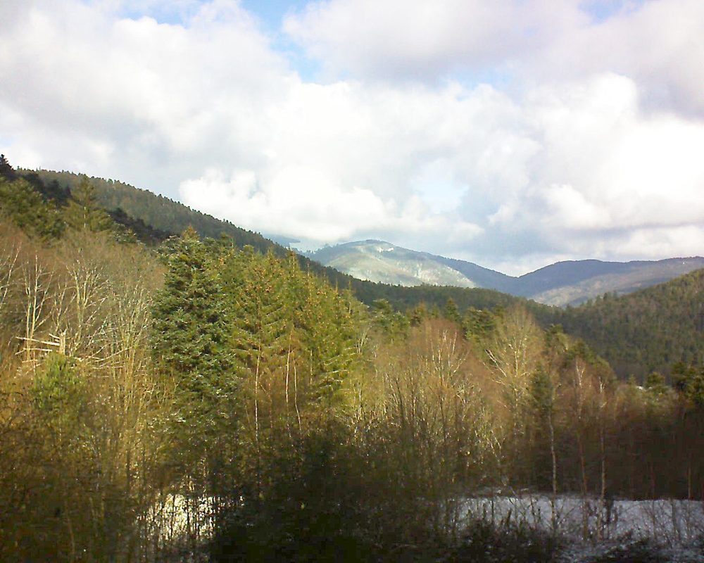 Le petit ballon vu depuis le Domaine Langmatt à Murbach le 18.01.2019 à 11:45 Le petit ballon (Alsace, Vosges) le 18.01.2019 à 11:45