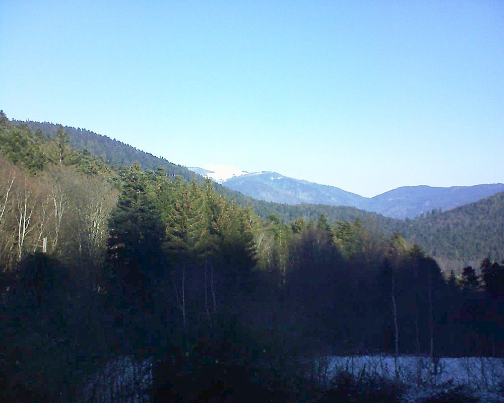 Le petit ballon vu depuis le Domaine Langmatt à Murbach le 19.01.2019 à 11:15 Le petit ballon (Alsace, Vosges) le 19.01.2019 à 11:15
