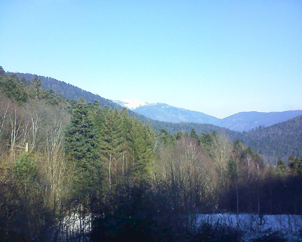 Le petit ballon vu depuis le Domaine Langmatt à Murbach le 19.01.2019 à 11:45 Le petit ballon (Alsace, Vosges) le 19.01.2019 à 11:45