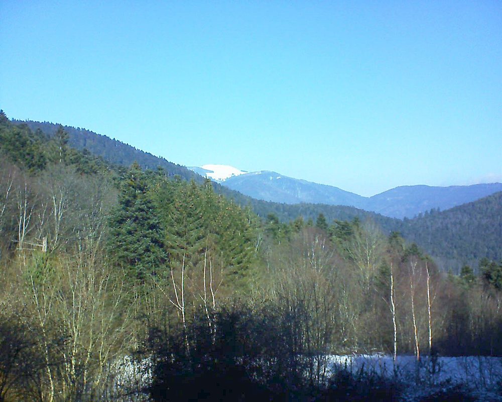 Le petit ballon vu depuis le Domaine Langmatt à Murbach le 19.01.2019 à 12:15 Le petit ballon (Alsace, Vosges) le 19.01.2019 à 12:15