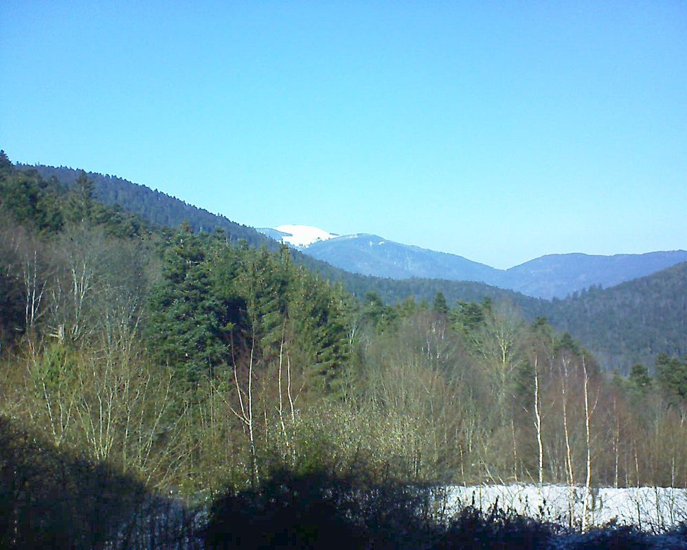 Le petit ballon vu depuis le Domaine Langmatt à Murbach le 19.01.2019 à 13:15 Le petit ballon (Alsace, Vosges) le 19.01.2019 à 13:15