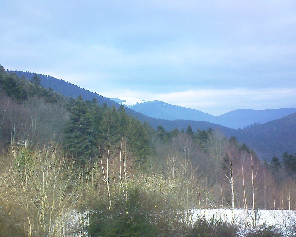 Le petit ballon vu depuis le Domaine Langmatt à Murbach le 20.01.2019 à 12:45 Le petit ballon (Alsace, Vosges) le 20.01.2019 à 12:45