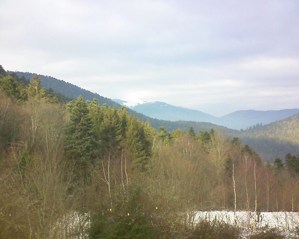 Le petit ballon vu depuis le Domaine Langmatt à Murbach le 20.01.2019 à 13:45 Le petit ballon (Alsace, Vosges) le 20.01.2019 à 13:45