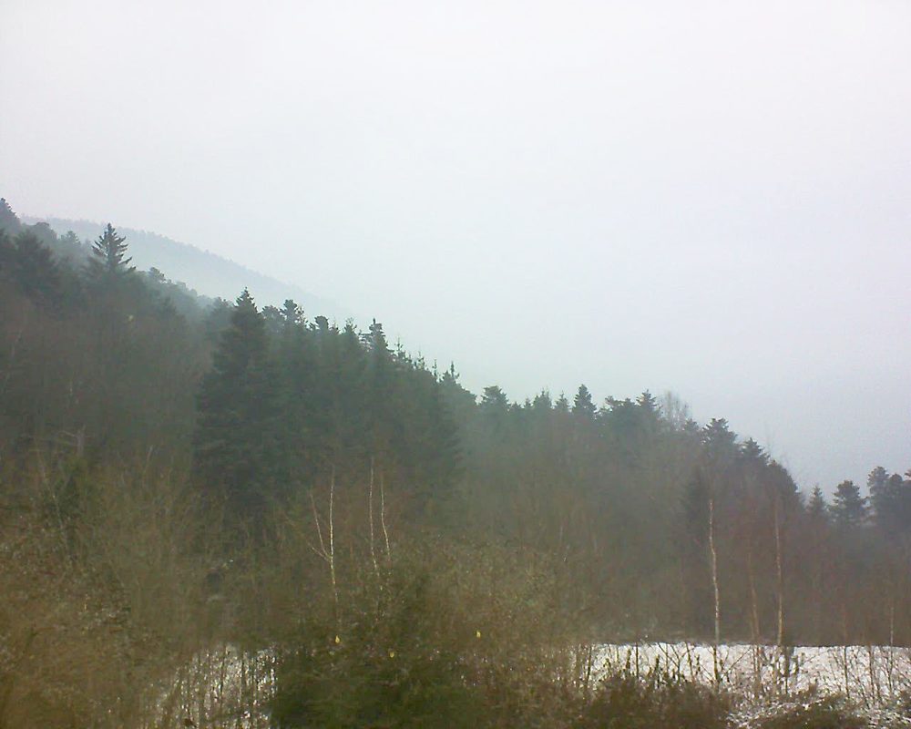 Le petit ballon vu depuis le Domaine Langmatt à Murbach le 21.01.2019 à 10:30 Le petit ballon (Alsace, Vosges) le 21.01.2019 à 10:30