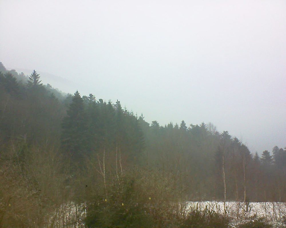 Le petit ballon vu depuis le Domaine Langmatt à Murbach le 21.01.2019 à 10:45 Le petit ballon (Alsace, Vosges) le 21.01.2019 à 10:45