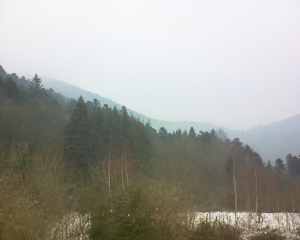 Le petit ballon vu depuis le Domaine Langmatt à Murbach le 21.01.2019 à 11:15 Le petit ballon (Alsace, Vosges) le 21.01.2019 à 11:15