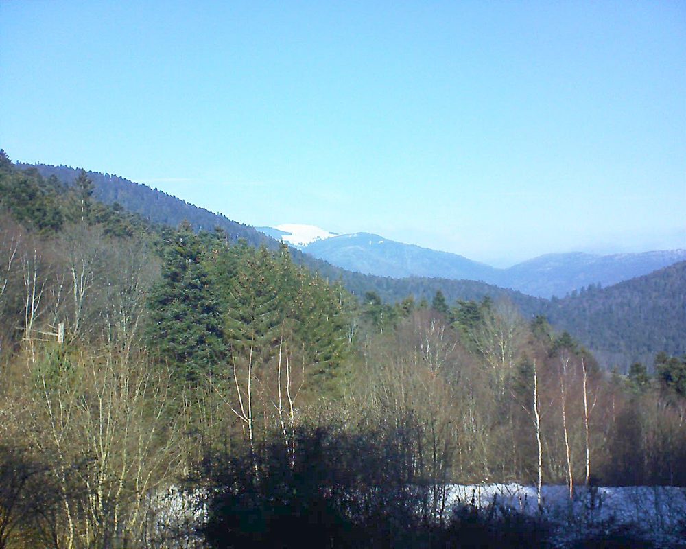 Le petit ballon vu depuis le Domaine Langmatt à Murbach le 22.01.2019 à 12:15 Le petit ballon (Alsace, Vosges) le 22.01.2019 à 12:15