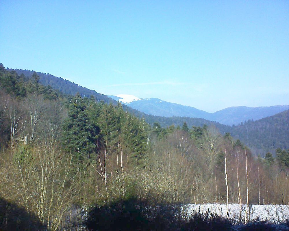 Le petit ballon vu depuis le Domaine Langmatt à Murbach le 22.01.2019 à 13:00 Le petit ballon (Alsace, Vosges) le 22.01.2019 à 13:00