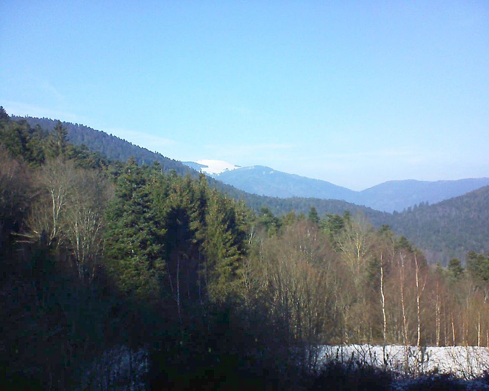 Le petit ballon vu depuis le Domaine Langmatt à Murbach le 22.01.2019 à 13:45 Le petit ballon (Alsace, Vosges) le 22.01.2019 à 13:45