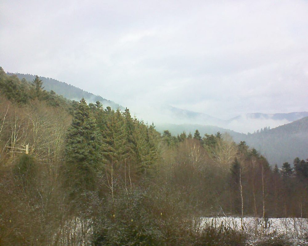 Le petit ballon vu depuis le Domaine Langmatt à Murbach le 23.01.2019 à 11:15 Le petit ballon (Alsace, Vosges) le 23.01.2019 à 11:15