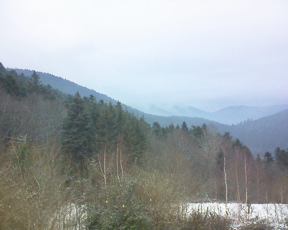 Le petit ballon vu depuis le Domaine Langmatt à Murbach le 23.01.2019 à 14:45 Le petit ballon (Alsace, Vosges) le 23.01.2019 à 14:45
