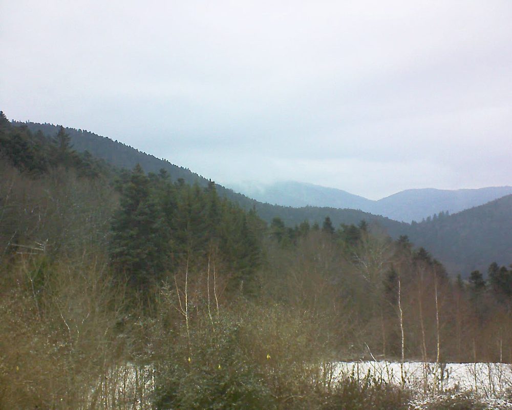 Le petit ballon vu depuis le Domaine Langmatt à Murbach le 23.01.2019 à 15:30 Le petit ballon (Alsace, Vosges) le 23.01.2019 à 15:30