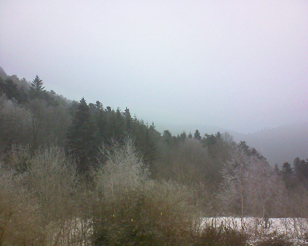Le petit ballon vu depuis le Domaine Langmatt à Murbach le 24.01.2019 à 10:00 Le petit ballon (Alsace, Vosges) le 24.01.2019 à 10:00