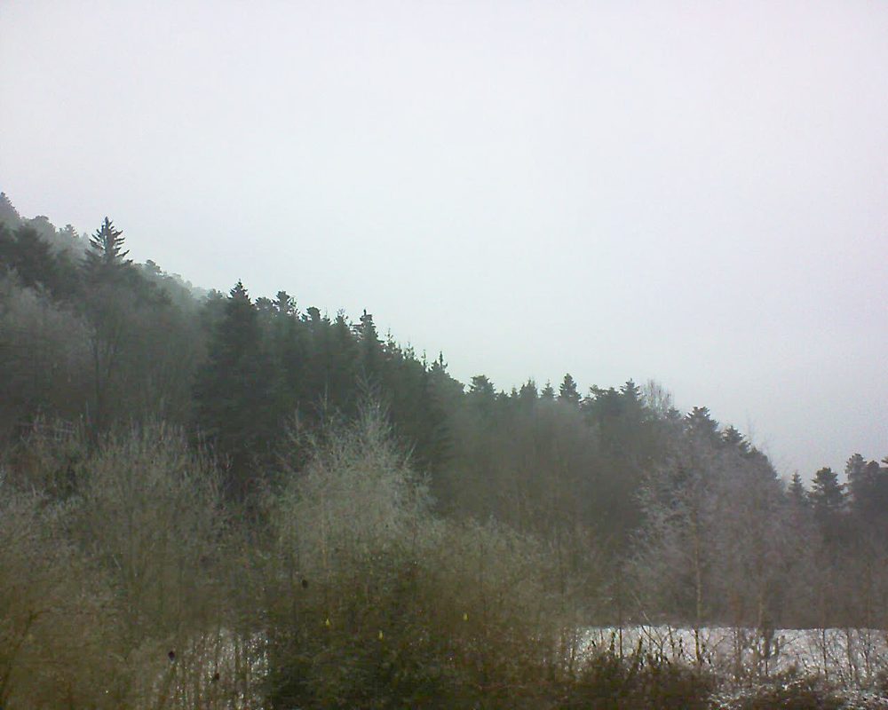 Le petit ballon vu depuis le Domaine Langmatt à Murbach le 24.01.2019 à 10:30 Le petit ballon (Alsace, Vosges) le 24.01.2019 à 10:30