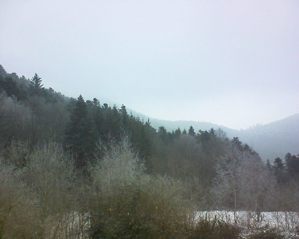 Le petit ballon vu depuis le Domaine Langmatt à Murbach le 24.01.2019 à 11:00 Le petit ballon (Alsace, Vosges) le 24.01.2019 à 11:00