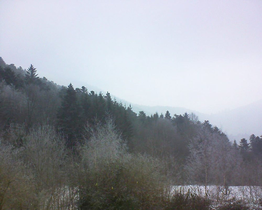 Le petit ballon vu depuis le Domaine Langmatt à Murbach le 24.01.2019 à 11:15 Le petit ballon (Alsace, Vosges) le 24.01.2019 à 11:15