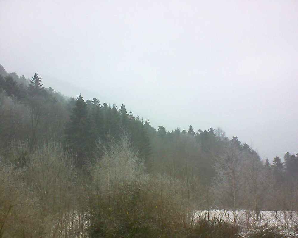 Le petit ballon vu depuis le Domaine Langmatt à Murbach le 24.01.2019 à 11:45 Le petit ballon (Alsace, Vosges) le 24.01.2019 à 11:45