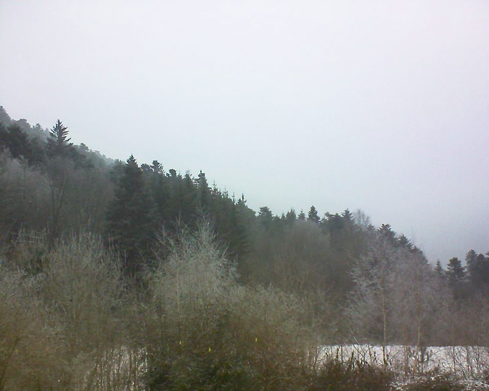 Le petit ballon vu depuis le Domaine Langmatt à Murbach le 24.01.2019 à 12:00 Le petit ballon (Alsace, Vosges) le 24.01.2019 à 12:00