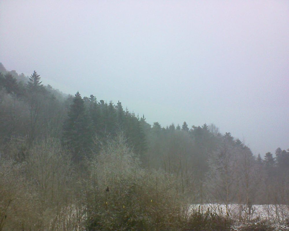 Le petit ballon vu depuis le Domaine Langmatt à Murbach le 24.01.2019 à 12:15 Le petit ballon (Alsace, Vosges) le 24.01.2019 à 12:15