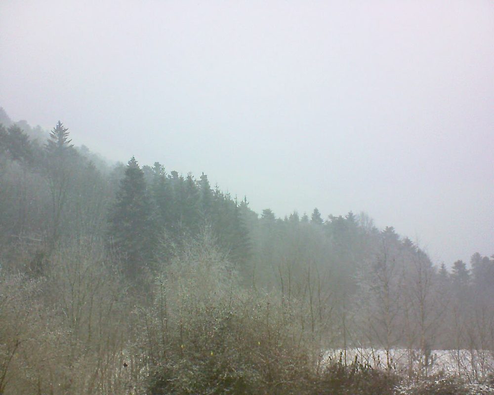 Le petit ballon vu depuis le Domaine Langmatt à Murbach le 24.01.2019 à 12:45 Le petit ballon (Alsace, Vosges) le 24.01.2019 à 12:45