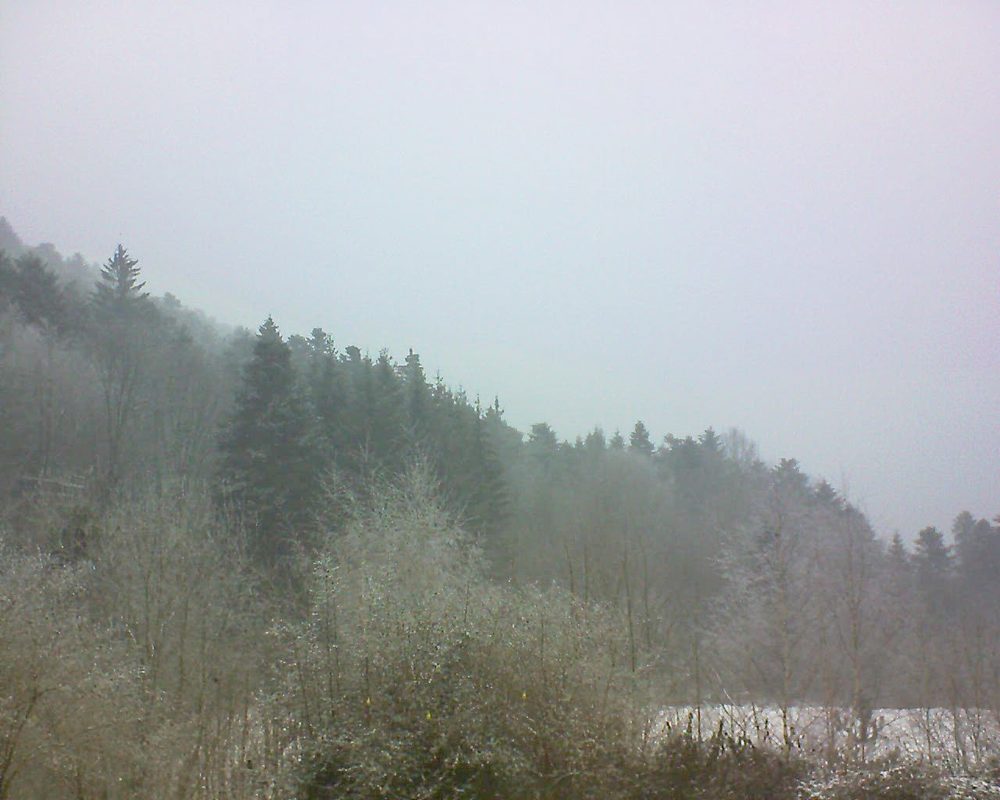 Le petit ballon vu depuis le Domaine Langmatt à Murbach le 24.01.2019 à 13:00 Le petit ballon (Alsace, Vosges) le 24.01.2019 à 13:00