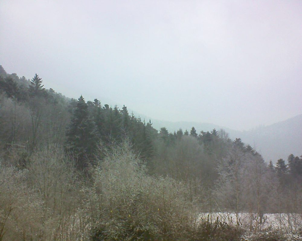 Le petit ballon vu depuis le Domaine Langmatt à Murbach le 24.01.2019 à 13:15 Le petit ballon (Alsace, Vosges) le 24.01.2019 à 13:15