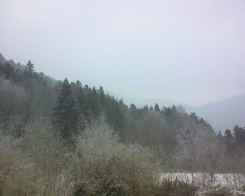 Le petit ballon vu depuis le Domaine Langmatt à Murbach le 24.01.2019 à 14:30 Le petit ballon (Alsace, Vosges) le 24.01.2019 à 14:30