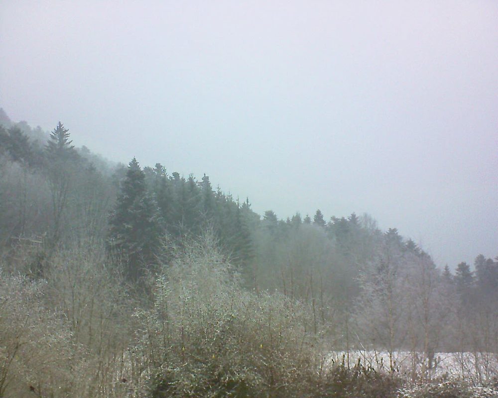 Le petit ballon vu depuis le Domaine Langmatt à Murbach le 24.01.2019 à 15:00 Le petit ballon (Alsace, Vosges) le 24.01.2019 à 15:00