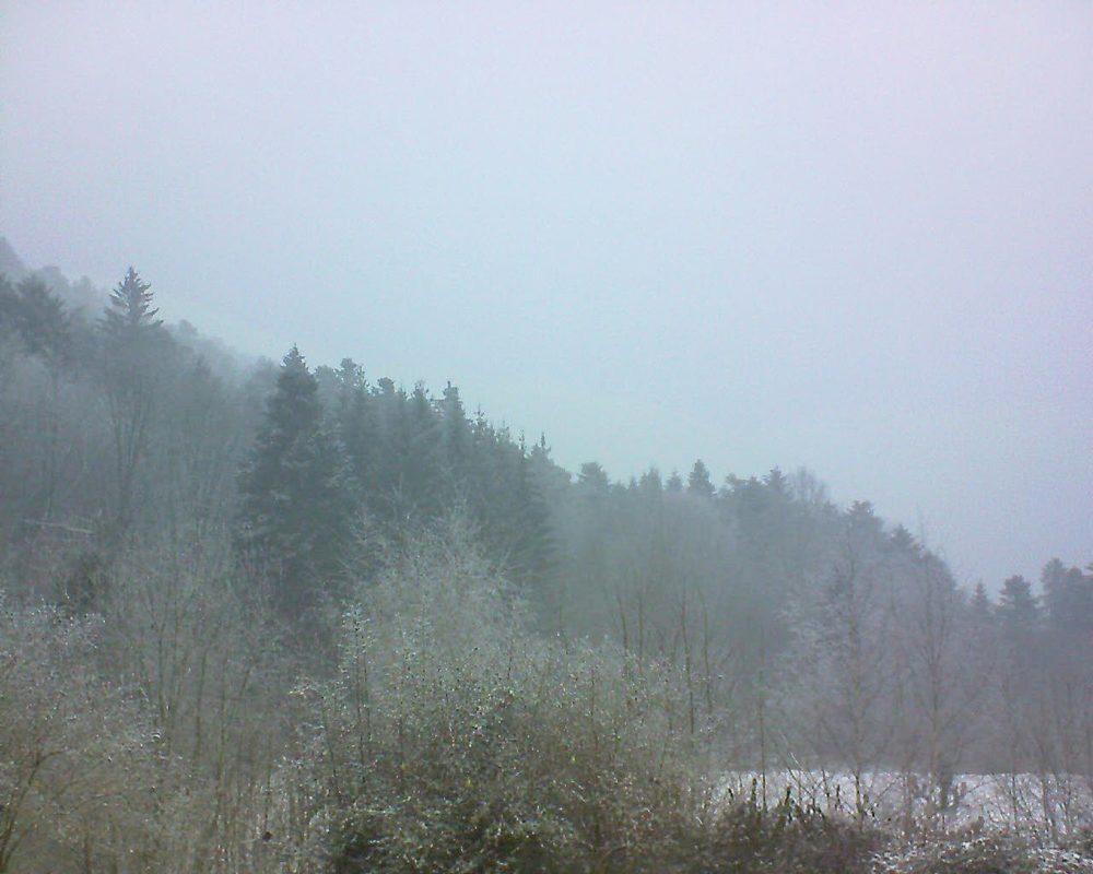 Le petit ballon vu depuis le Domaine Langmatt à Murbach le 24.01.2019 à 15:15 Le petit ballon (Alsace, Vosges) le 24.01.2019 à 15:15