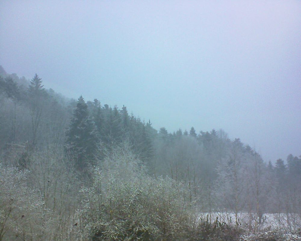 Le petit ballon vu depuis le Domaine Langmatt à Murbach le 24.01.2019 à 16:00 Le petit ballon (Alsace, Vosges) le 24.01.2019 à 16:00