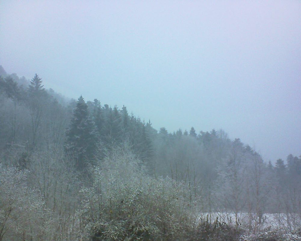 Le petit ballon vu depuis le Domaine Langmatt à Murbach le 24.01.2019 à 16:15 Le petit ballon (Alsace, Vosges) le 24.01.2019 à 16:15