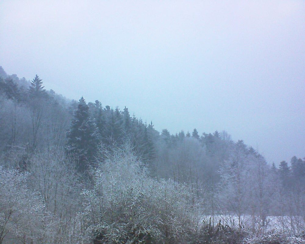 Le petit ballon vu depuis le Domaine Langmatt à Murbach le 24.01.2019 à 16:45 Le petit ballon (Alsace, Vosges) le 24.01.2019 à 16:45