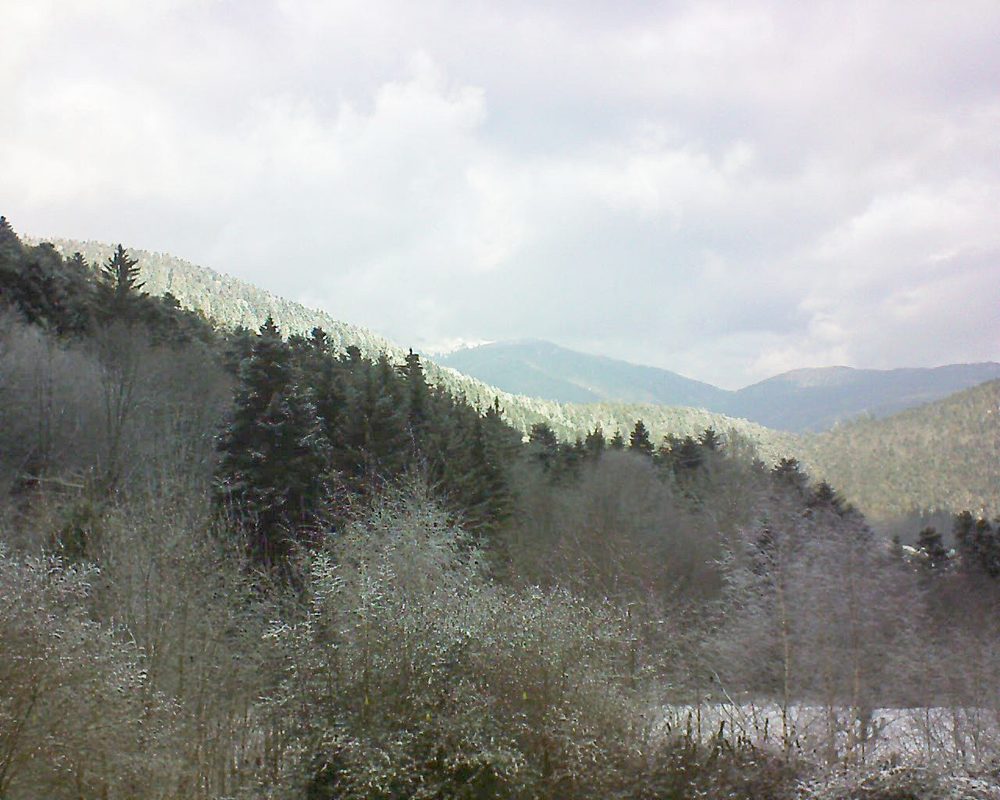 Le petit ballon vu depuis le Domaine Langmatt à Murbach le 25.01.2019 à 12:30 Le petit ballon (Alsace, Vosges) le 25.01.2019 à 12:30