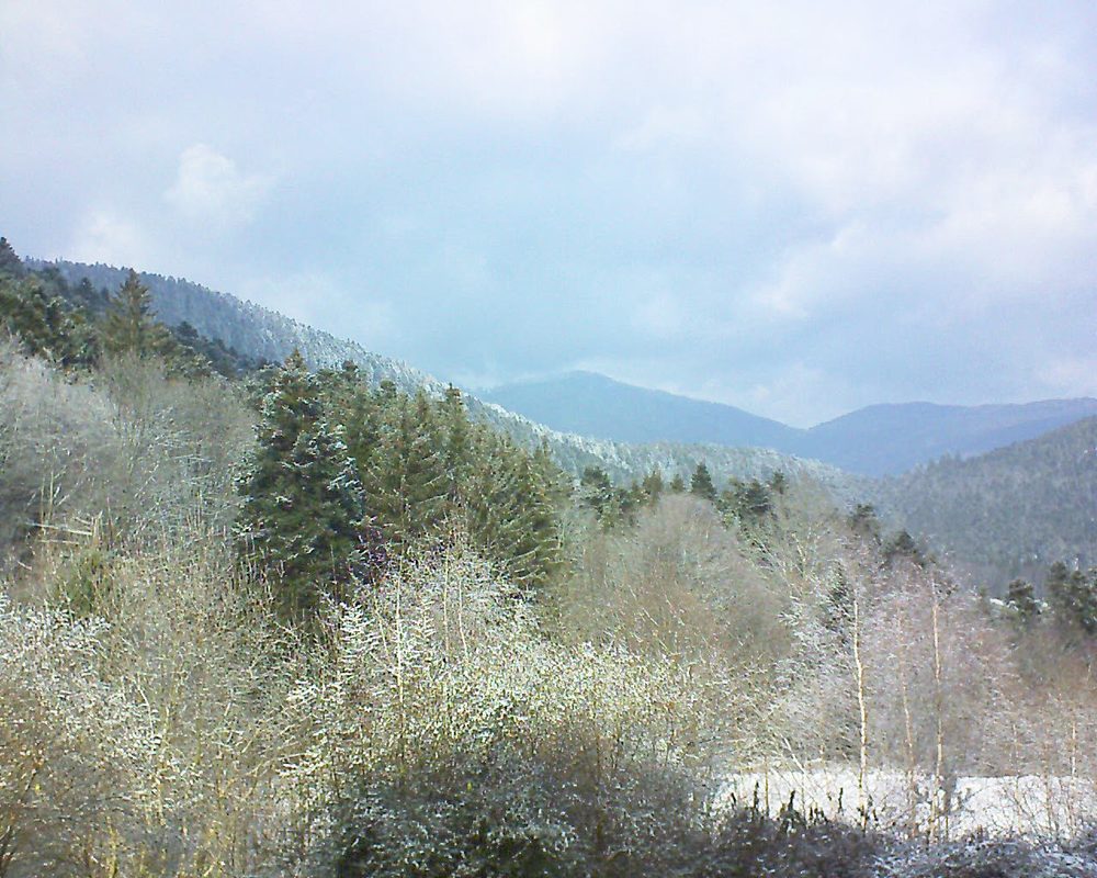 Le petit ballon vu depuis le Domaine Langmatt à Murbach le 25.01.2019 à 12:45 Le petit ballon (Alsace, Vosges) le 25.01.2019 à 12:45