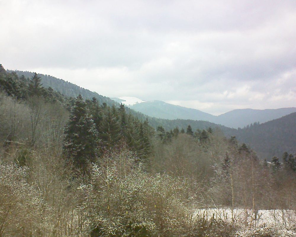 Le petit ballon vu depuis le Domaine Langmatt à Murbach le 25.01.2019 à 14:00 Le petit ballon (Alsace, Vosges) le 25.01.2019 à 14:00