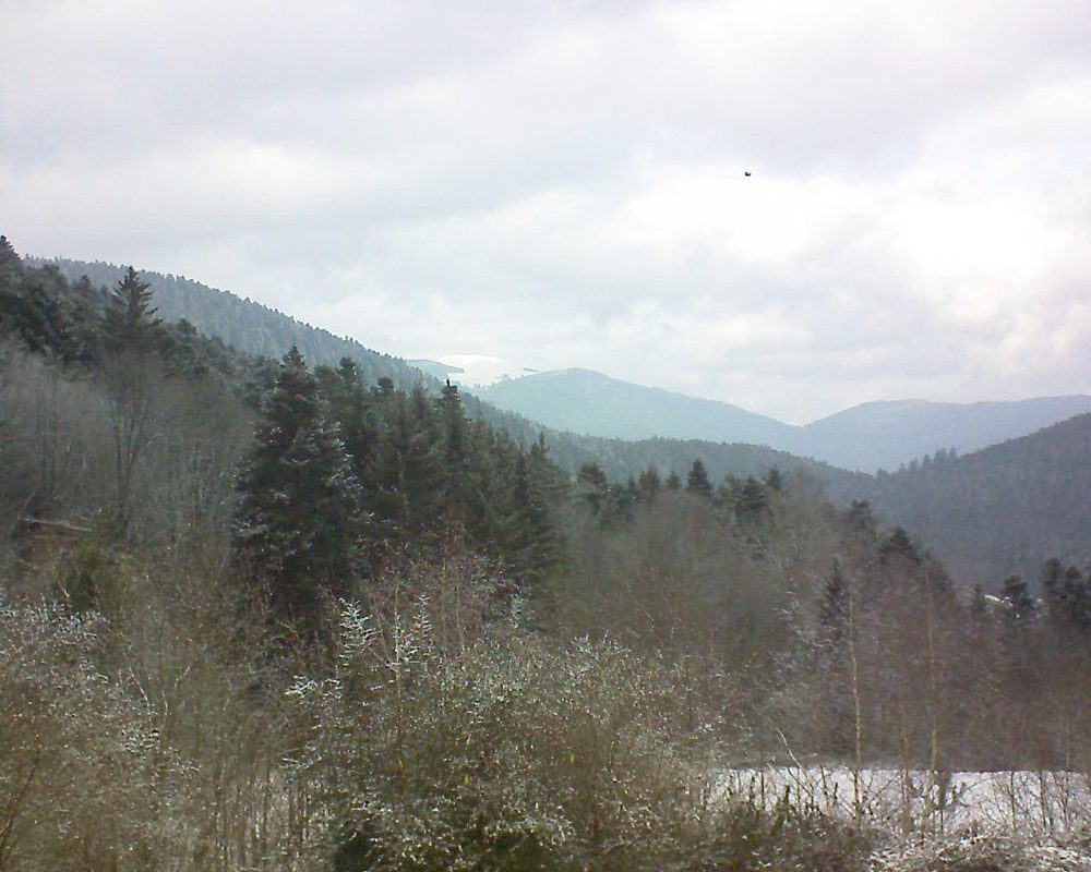 Le petit ballon vu depuis le Domaine Langmatt à Murbach le 25.01.2019 à 14:30 Le petit ballon (Alsace, Vosges) le 25.01.2019 à 14:30
