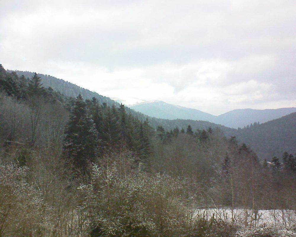 Le petit ballon vu depuis le Domaine Langmatt à Murbach le 25.01.2019 à 14:45 Le petit ballon (Alsace, Vosges) le 25.01.2019 à 14:45