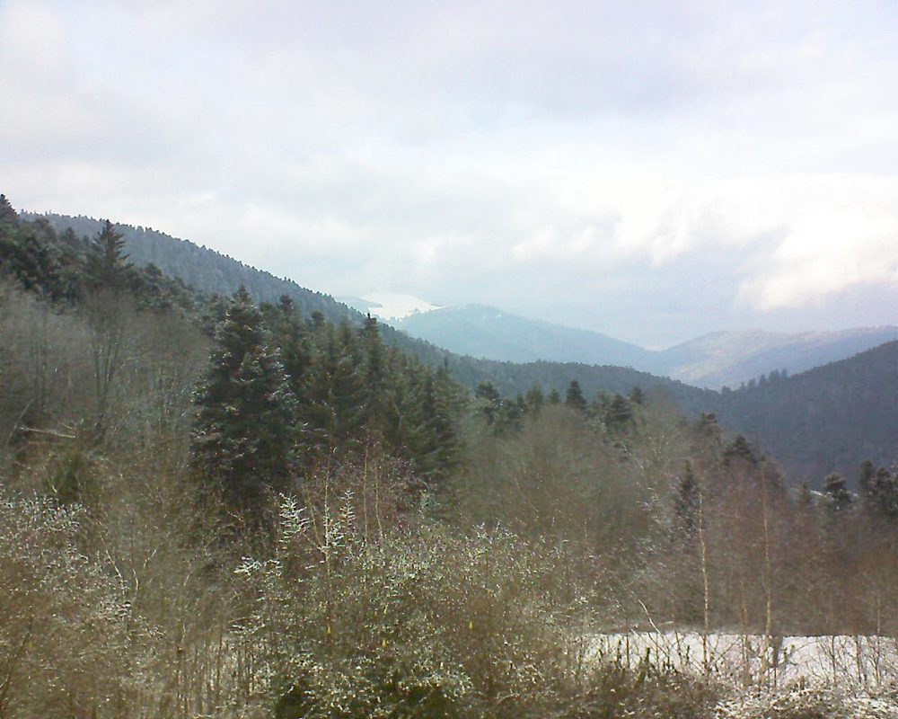 Le petit ballon vu depuis le Domaine Langmatt à Murbach le 25.01.2019 à 15:15 Le petit ballon (Alsace, Vosges) le 25.01.2019 à 15:15