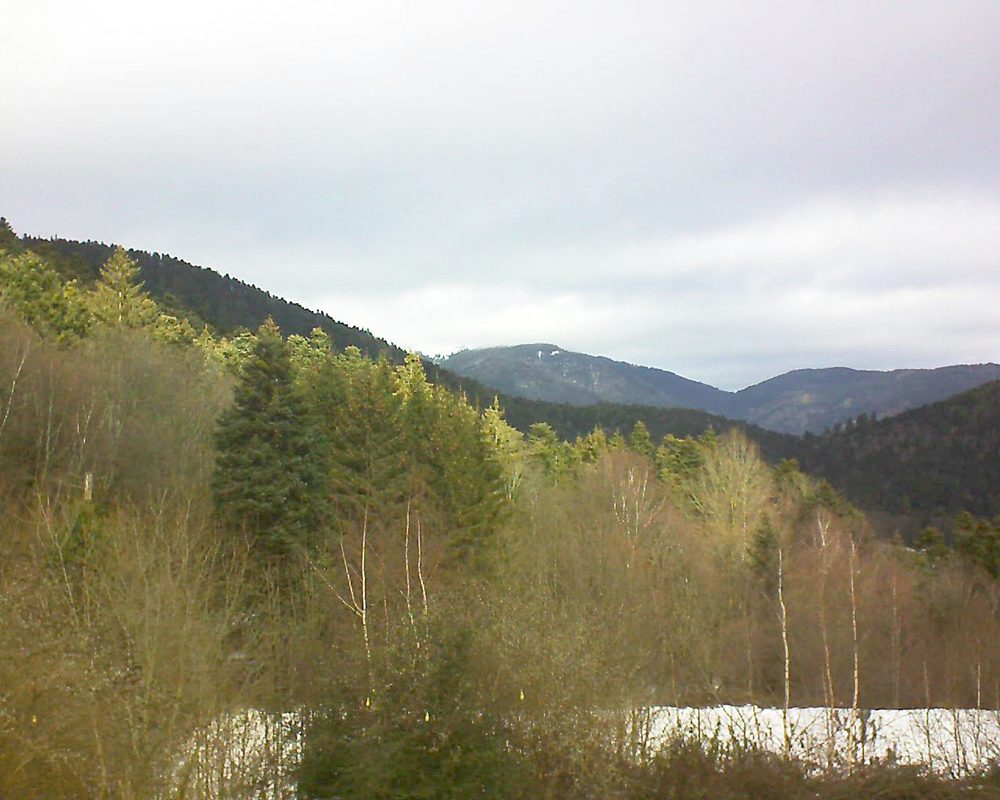 Le petit ballon vu depuis le Domaine Langmatt à Murbach le 26.01.2019 à 11:45 Le petit ballon (Alsace, Vosges) le 26.01.2019 à 11:45