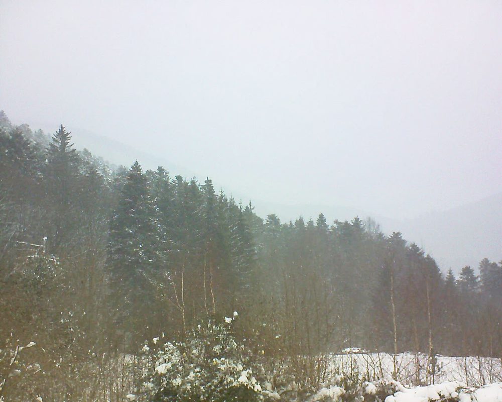 Le petit ballon vu depuis le Domaine Langmatt à Murbach le 28.01.2019 à 11:15 Le petit ballon (Alsace, Vosges) le 28.01.2019 à 11:15