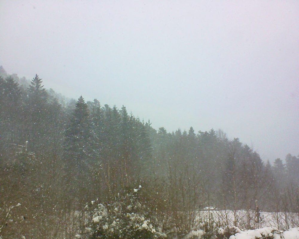 Le petit ballon vu depuis le Domaine Langmatt à Murbach le 28.01.2019 à 11:45 Le petit ballon (Alsace, Vosges) le 28.01.2019 à 11:45