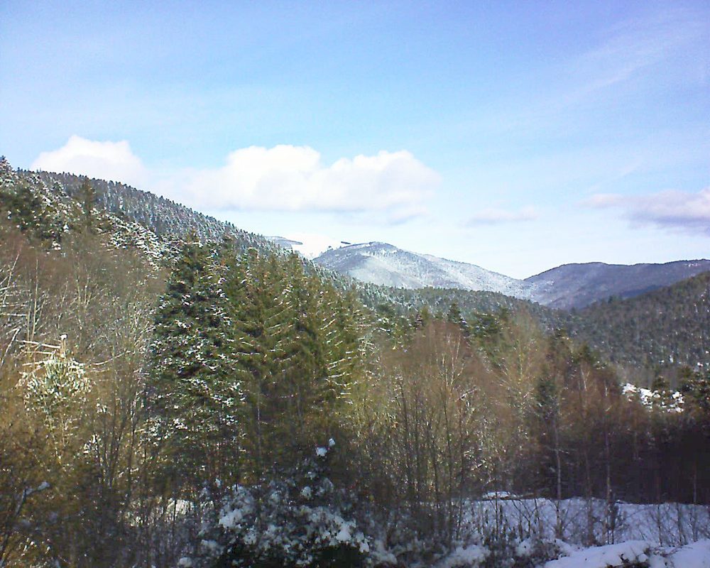 Le petit ballon vu depuis le Domaine Langmatt à Murbach le 29.01.2019 à 11:30 Le petit ballon (Alsace, Vosges) le 29.01.2019 à 11:30