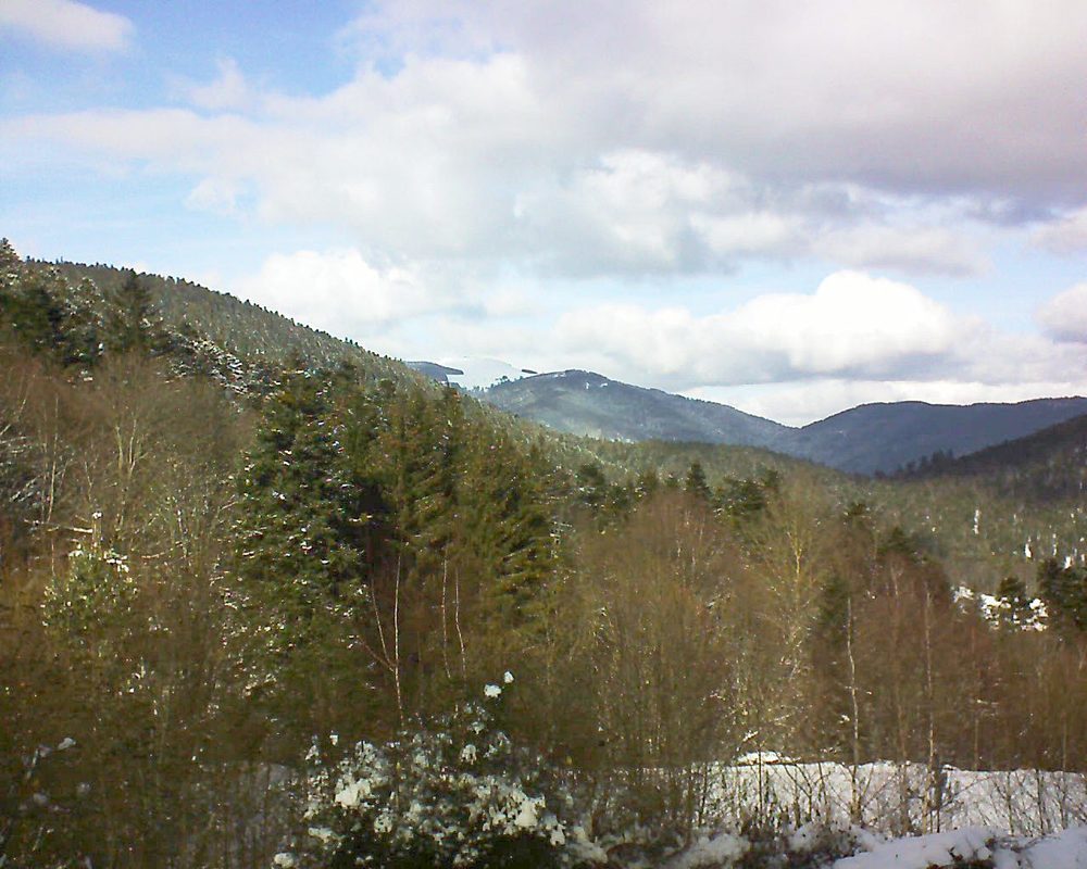 Le petit ballon vu depuis le Domaine Langmatt à Murbach le 29.01.2019 à 13:15 Le petit ballon (Alsace, Vosges) le 29.01.2019 à 13:15