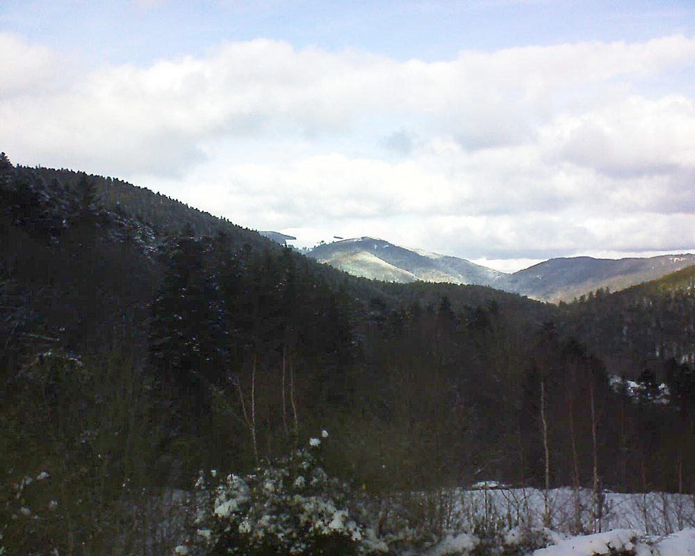 Le petit ballon vu depuis le Domaine Langmatt à Murbach le 29.01.2019 à 13:45 Le petit ballon (Alsace, Vosges) le 29.01.2019 à 13:45