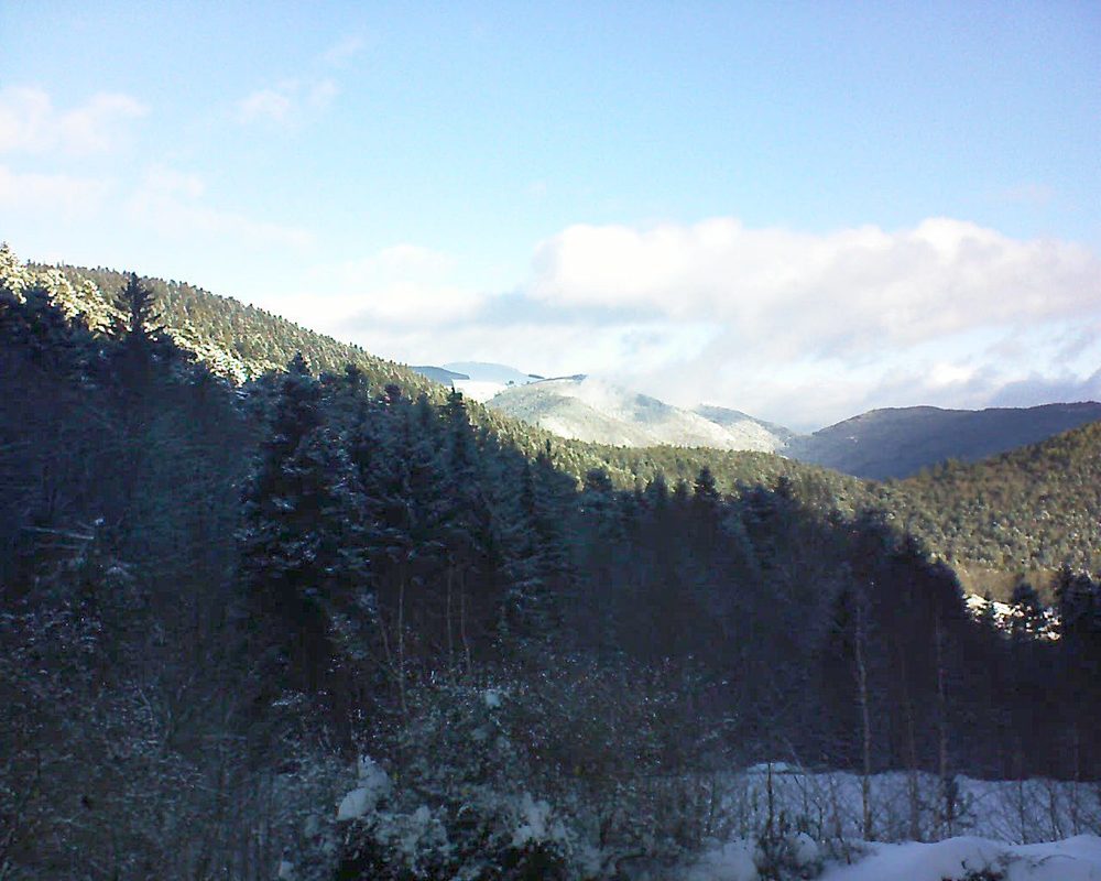 Le petit ballon vu depuis le Domaine Langmatt à Murbach le 31.01.2019 à 10:00 Le petit ballon (Alsace, Vosges) le 31.01.2019 à 10:00