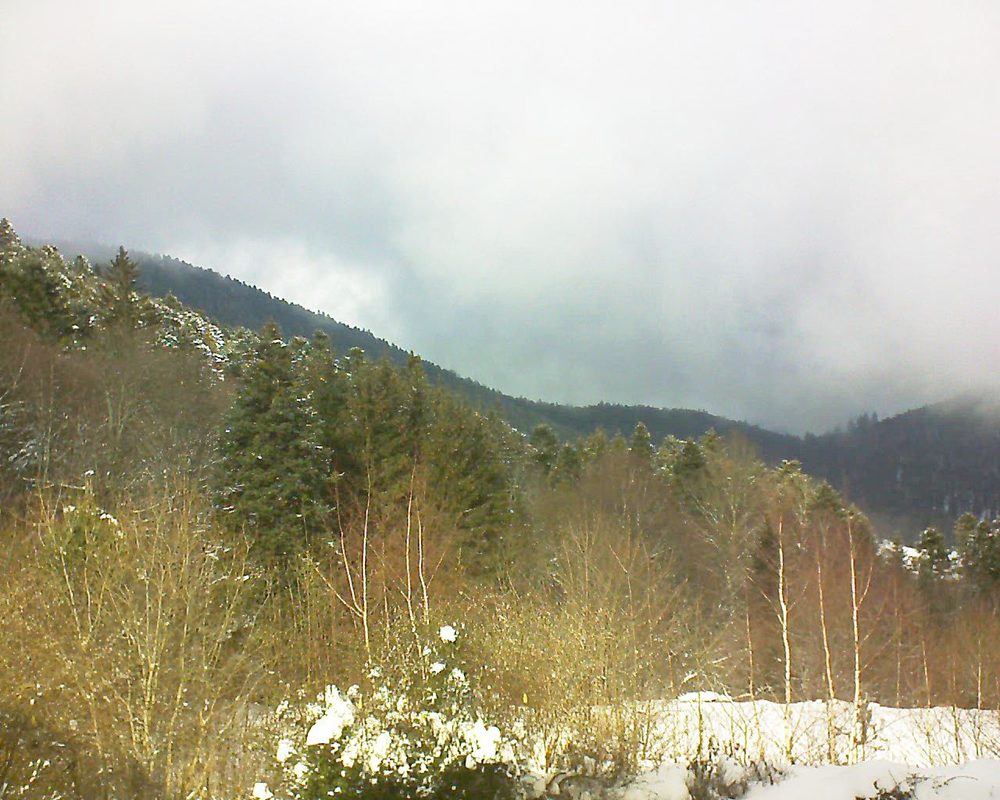 Le petit ballon vu depuis le Domaine Langmatt à Murbach le 31.01.2019 à 13:15 Le petit ballon (Alsace, Vosges) le 31.01.2019 à 13:15