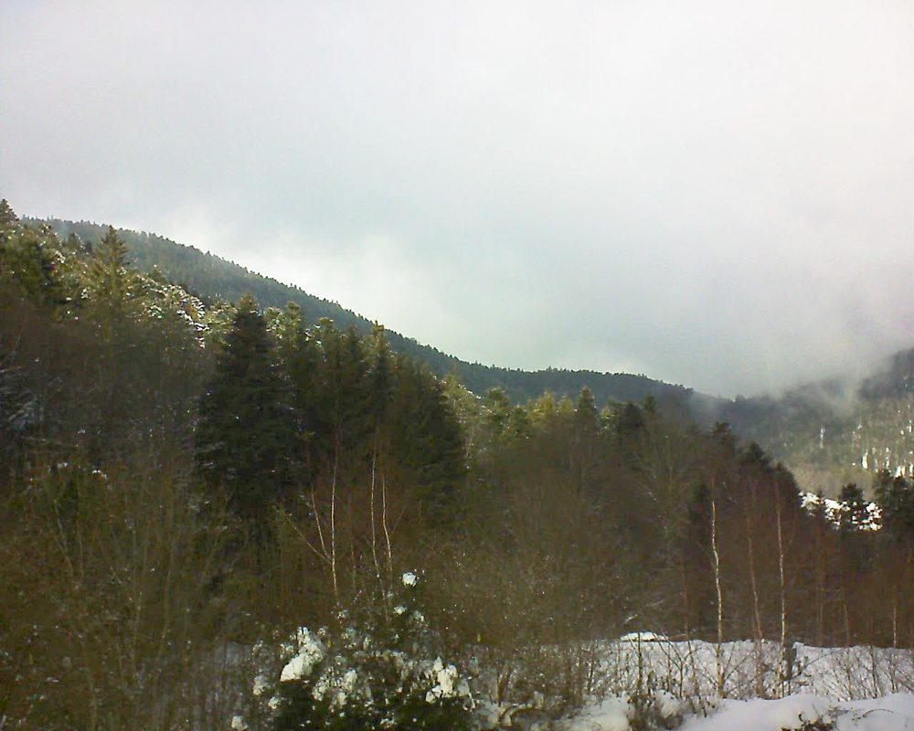 Le petit ballon vu depuis le Domaine Langmatt à Murbach le 31.01.2019 à 13:30 Le petit ballon (Alsace, Vosges) le 31.01.2019 à 13:30