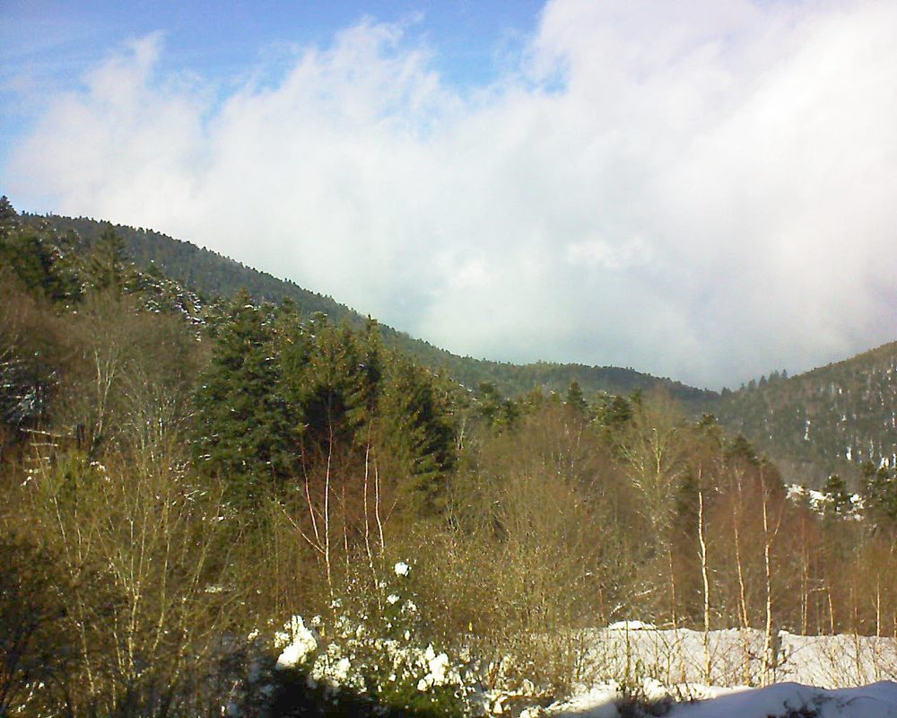 Le petit ballon vu depuis le Domaine Langmatt à Murbach le 31.01.2019 à 13:45 Le petit ballon (Alsace, Vosges) le 31.01.2019 à 13:45